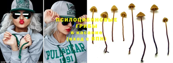 твердый Михайловск