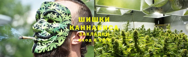 кристаллы Мегион