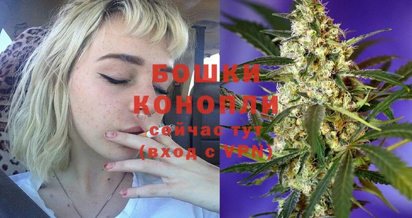 ешки Медвежьегорск