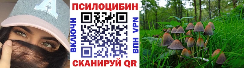 где продают   Нюрба  Галлюциногенные грибы прущие грибы 
